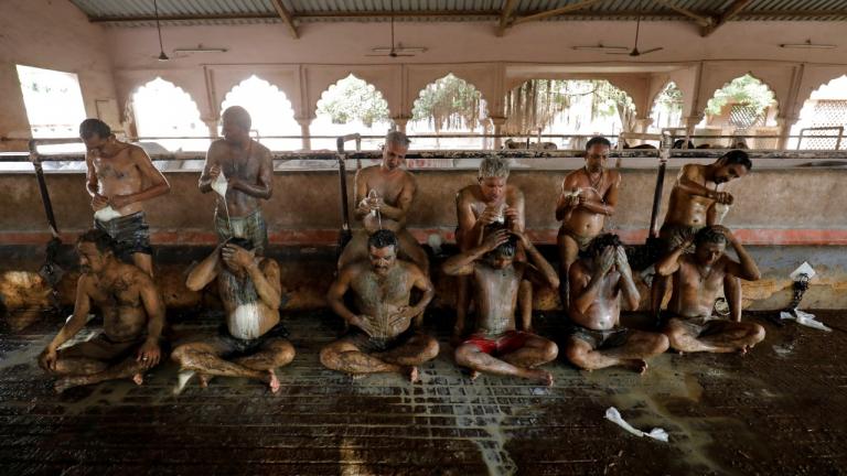 Ινδία: Οι γιατροί προειδοποιούν κατά της χρήσης κοπριάς  και ούρων από αγελάδες ως ασπίδα προστασίας κατά του κορονοϊού