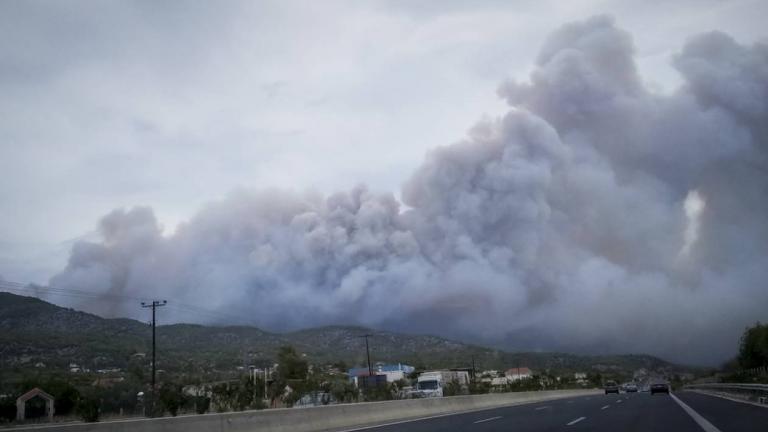 Ο κύκλος των καμένων δασών: Πώς να αποφύγουμε τις καταστροφικές πυρκαγιές