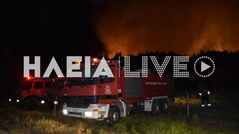  Ηλεία: Μεγάλη πυρκαγιά στη Σμέρνα