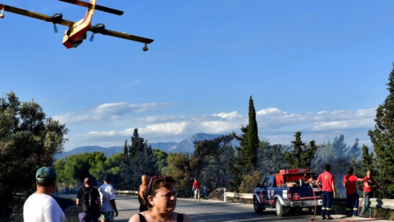 Φωτιά τώρα: Πυρκαγιά στα Μέγαρα