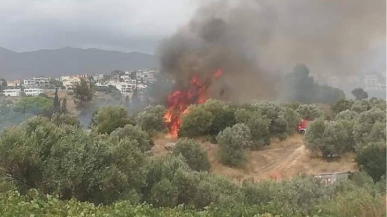 Οριοθετήθηκε η πυρκαγιά στην Παλλήνη Αττικής	