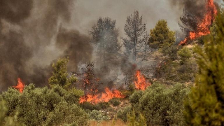 Πυρκαγιά στην Χαλκιδική 