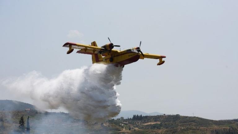 Πυρκαγιά στη Μαγνησία 