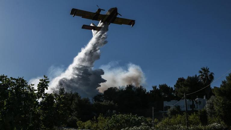 Κεφαλονιά: Υπό πλήρη έλεγχο όλα τα πύρινα μέτωπα του νησιού