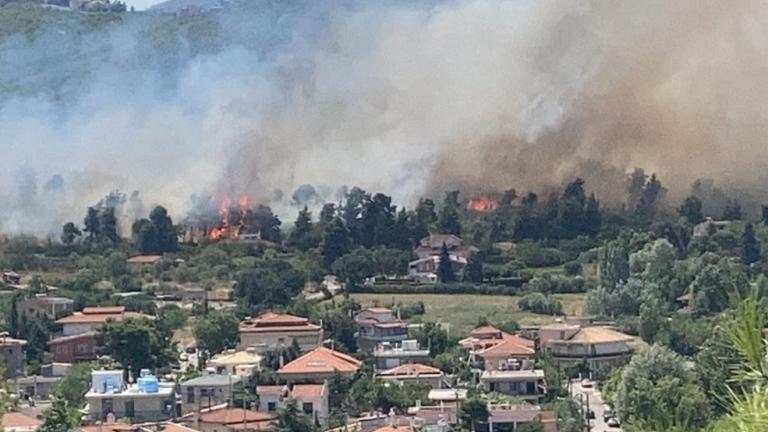 Φωτιά κοντά σε κατοικίες στη Σταμάτα 