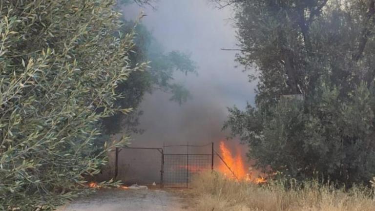 Υπό μερικό έλεγχο η πυρκαγιά στην Κηφισιά