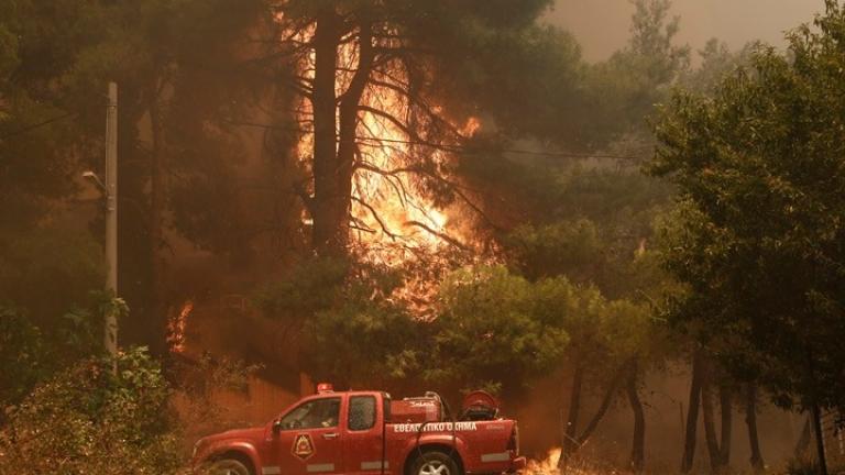 Σε σύλληψη μετατράπηκε η προσαγωγή του 64χρονου μελισσοκόμου που προσήχθη για την πυρκαγιά στη Σταμάτα