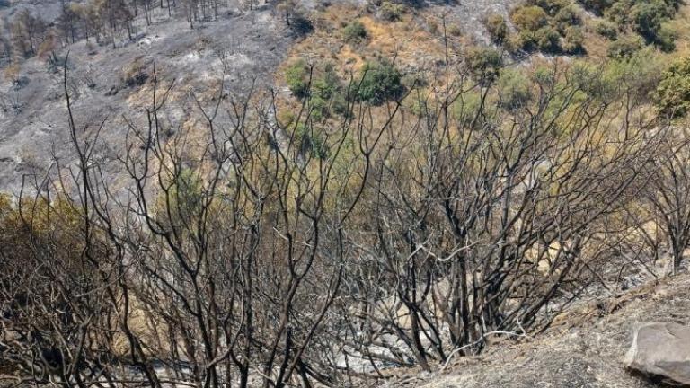 Πώς κάηκαν οι τέσσερις Αιγύπτιοι στην Κύπρο 