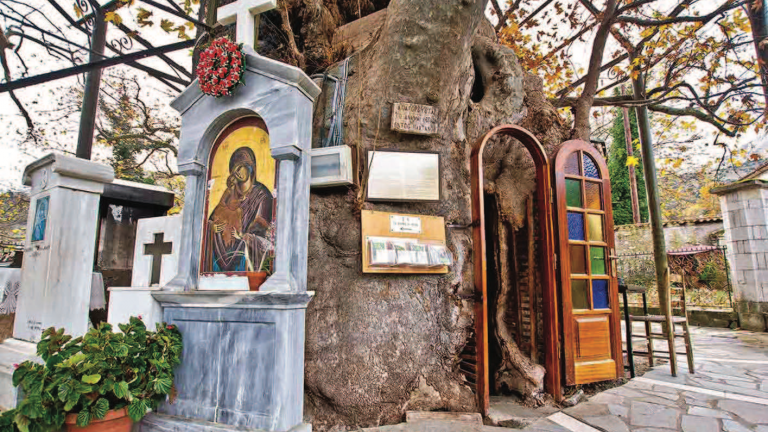 Η Παναγία η Πλατανιώτισσα: Στην "καρδιά" τριών ιερών πλατάνων