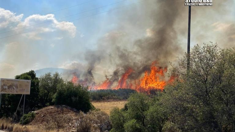 Ναύπλιο: Μεγάλη Φωτιά σε δασική έκταση στο Αραχναίο (ΦΩΤΟ)