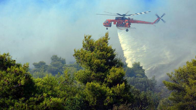 Φωτιά τώρα: Πυρκαγιά στη Χασιά