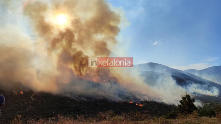   Περίπου 6.000 στρέμματα κάηκαν στη νοτιοανατολική Κεφαλονιά κατά τις καταστροφικές πυρκαγιές της 2ας, 3ης και 4ης Ιουλίου, σύμφωνα με τις πρώτες εκτιμήσεις με βάση τις εικόνες του ευρωπαϊκού περιβαλλοντικού δορυφόρου Sentinel-2. Οι καμένες περιοχές υπολογίστηκαν από το Εθνικό Αστεροσκοπείο Αθηνών/meteo.gr.     Με βάση τις εκτιμήσεις του Πληροφοριακού Συστήματος για τις Δασικές Πυρκαγιές στην Ευρώπη (European Forest Fire Information System - EFFIS), το 37% περίπου ήσαν καλλιεργήσιμες περιοχές, το 47% χαμηλ