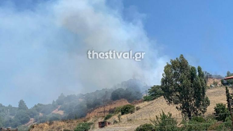 Χαλκιδική: Φωτιά στη Νικήτη	