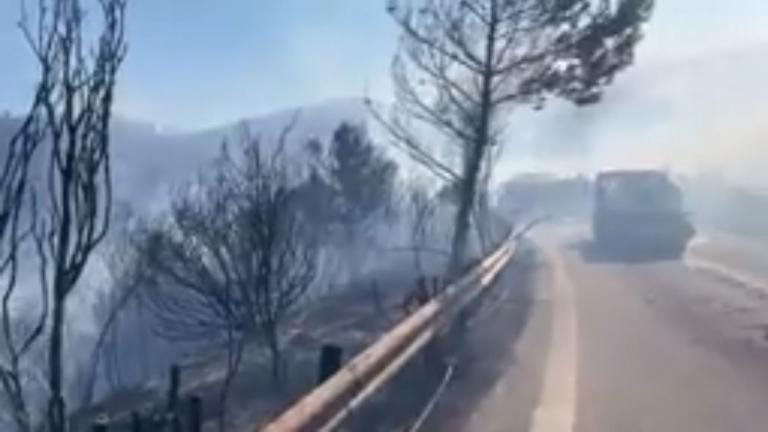 Επικίνδυνη φωτιά στη Χίο: Ενισχύονται οι δυνάμεις της πυροσβεστικής, εκκενώνονται οικισμοί 
