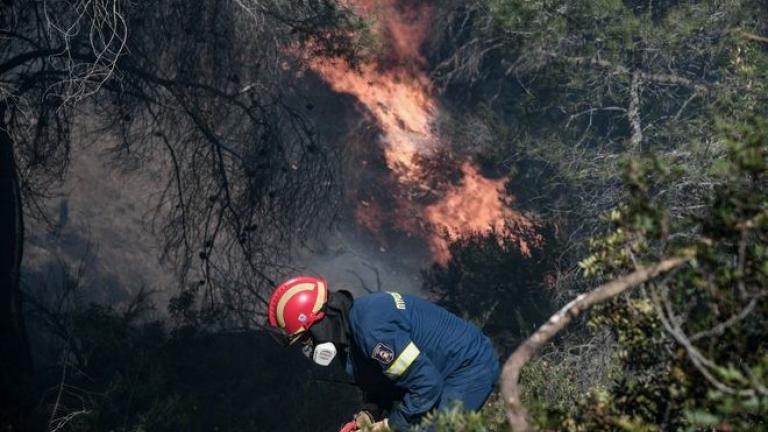 Βόλος: Φωτιά περιμετρικά της πόλης