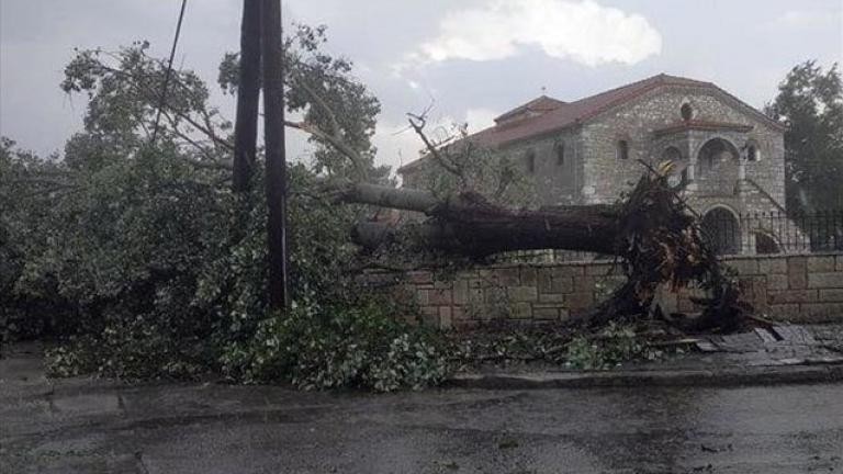 Καρδίτσα: Ζημιές από ισχυρούς ανέμους και χαλαζόπτωση στην περιοχή του Παλαμά στην Π.Ε. Καρδίτσας 