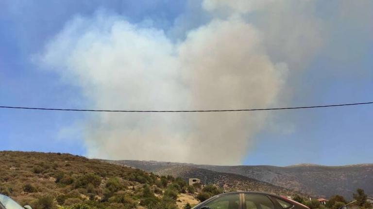 Σε ύφεση όλες οι πυρκαγιές - Σύλληψη 57χρονου για την πυρκαγιά στα Στύρα Ευβοίας