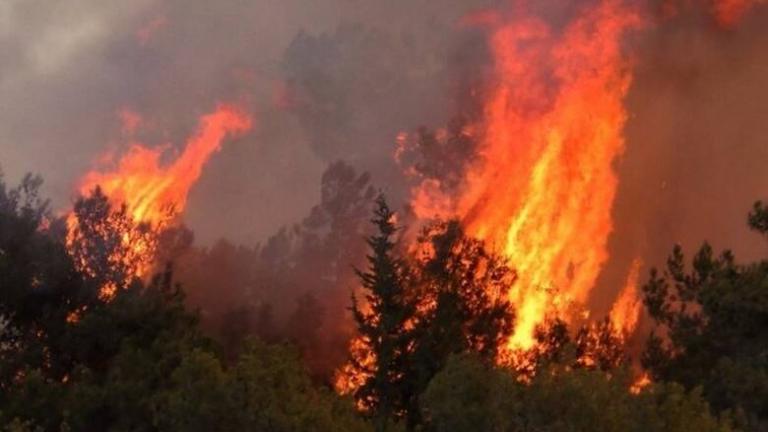 Εκκενώνονται τουλάχιστον άλλα 7 χωριά   Πηγή: https://www.skai.gr/news/world/kypros-arapakas-ragdaia-eksaplosi-tis-fotias-ekkenonontai-toulaxiston-alla-7-xoria Follow us: @skaigr on Twitter | skaigr on Facebook | @skaigr on Instagram