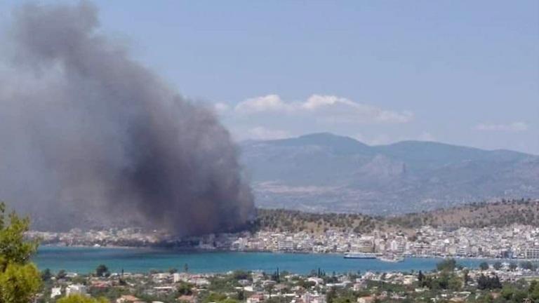 Σε ύφεση η πυρκαγιά κοντά σε κατοικημένη περιοχή στον Αγιο Νικόλαο Σαλαμίνας