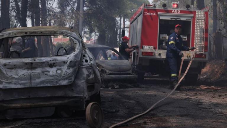 Συνελήφθη Αλβανός μελισσοκόμος ως υπαίτιος για τη φωτιά στη Σταμάτα