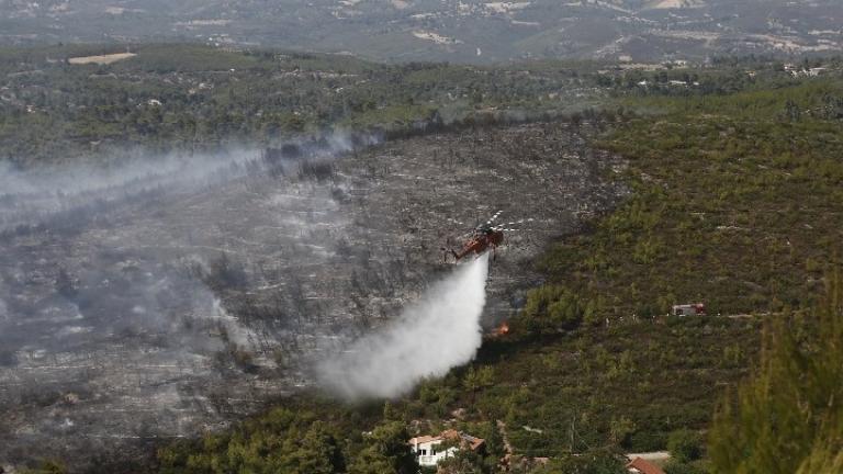 Προσήχθη μελισσοκόμος για την πυρκαγιά στη Σταμάτα