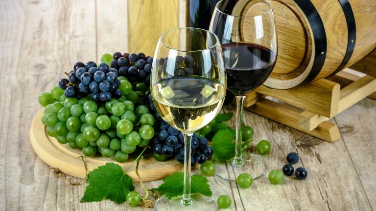Πάνω από 500 κρασιά ΠΟΠ και ΠΓΕ εκτιμάται ότι παράγουν οι οινοποιοί της Β. Ελλάδας