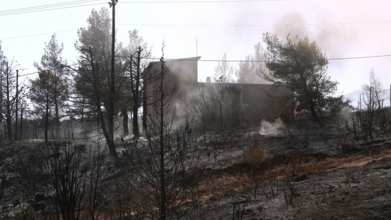 Ακόμα καλύτερη μέρα, σε ό,τι αφορά την κατάσταση της πυρκαγιάς στην Αττική, ξημέρωσε σήμερα, την ώρα που ο εφιάλτης συνεχίζεται και εντοπίζεται κυρίως στην Εύβοια, ενώ πολύ δύσκολη νύχτα ήταν και για την Ηλεία και σε εξέλιξη είναι ακόμα τα μεγάλα μέτωπα στη Μεσσηνία και την Ανατολική Μάνη. Σύμφωνα με την Πυροσβεστική, δεν υπάρχει πουθενά μέτωπο πλέον, παρά μόνο κάποιες εστίες που εμφανίζονται κάθε τόσο στην τεράστια περίμετρο, οι οποίες αντιμετωπίζονται από τις δυνάμεις πυρόσβεσης. Λόγω της καλύτερης κατάστ