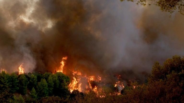 Πυρκαγιά από την Αλβανία πέρασε τα σύνορα στη Θεσπρωτία