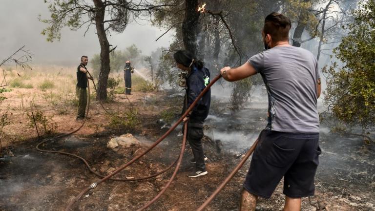 Μεγάλος ο κίνδυνος πυρκαγιάς το Σάββατο (7/8) 