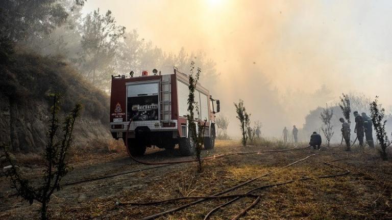 Φωτιά ξέσπασε στο Μαρτίνο της Φθιώτιδας