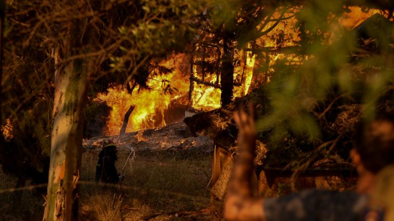  Εκκενώνονται προληπτικά δύο οικισμοί λόγω φωτιάς σε δασική έκταση στην περιοχή Παραδείσι