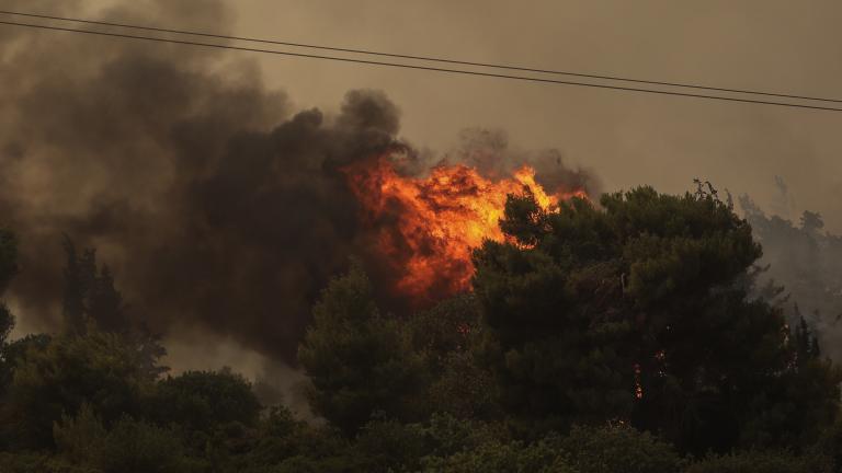 ΑΚΟΛΟΥΘΗΣΤΕ ΜΑΣ ΣΤΟ GOOGLE NEWS ΚΑΝΟΝΤΑΣ ΚΛΙΚ ΕΔΩ