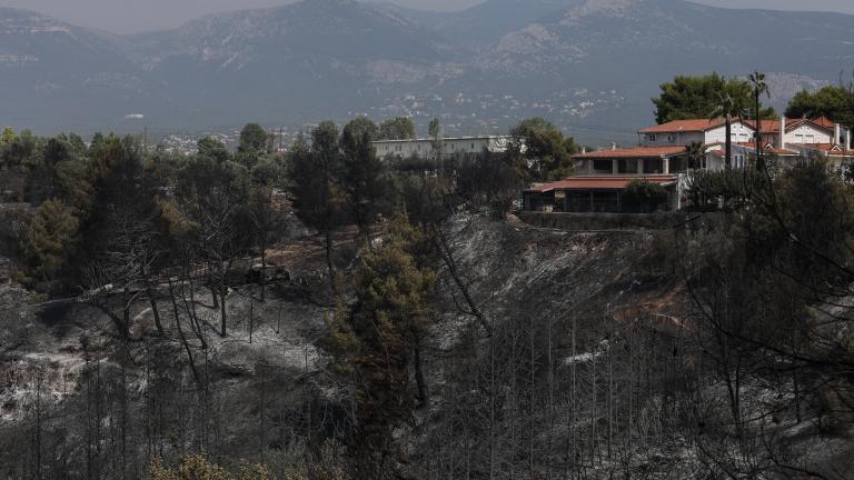 Ο ίδιος μίλησε για πρωτόγνωρες οι εικόνες. «Μια εικόνα καταστροφής που συντίθεται από επιμέρους επεισόδια πολύ διαφορετικά από αυτά που έχουμε δει σε άλλες περιπτώσεις» είπε χαρακτηριστικά. Ωστόσο, τόνισε ότι το σημαντικό είναι πως δεν υπήρξε απώλεια ανθρώπινης ζωής.  Πρόσθεσε πως «όλα τα υπόλοιπα είναι σε τραγική κατάσταση».  Ο καθηγητής αναφέρθηκε στις παραμέτρους που επέδρασαν καταλυτικά στην ανάπτυξη της πυρκαγιάς οι οποίοι ήταν:      Ο μικτής ζώνης χαρακτήρας της περιοχής (οικιστική & δασική)     Το υψ