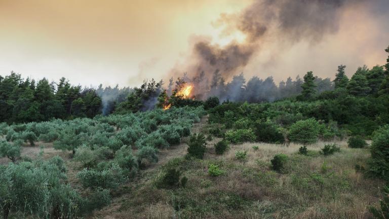 Συνεχίζεται και σήμερα η μάχη με τις φλόγες στην Εύβοια.  Στις 7:30 το πρωί άρχισε η εκκένωση του χωριού Κεχριές του Δήμου Ελυμνίων Μαντουδίου-Αγίας Άννας, καθώς η φωτιά που καίει από προχθές, Τρίτη 3 Αυγούστου, κινείται πλέον απειλητικά με ταχύτητα προς το χωριό. Η αστυνομία αποφάσισε να προχωρήσει στην απομάκρυνση των κατοίκων. Στην περιοχή δεν έχει ακόμα σηκωθεί για ρίψεις νερού κάποιο πτητικό μέσο, καθώς η ορατότητα είναι περιορισμένη, εξαιτίας των πυκνών καπνών. Ωστόσο, νέο μέτωπο πυρκαγιάς ξέσπασε στη