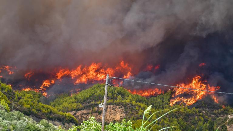 Πυρκαγιά στην Ηλεία: Οι φλόγες κινούνται προς την Αρχαία Ολυμπία  