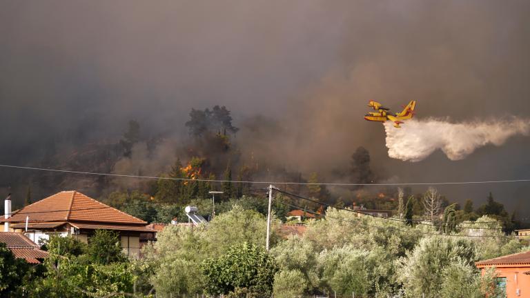 Στον Δήμο Ιστιαίας Αιδηψού έχει περάσει η φωτιά που ξεκίνησε εδώ και τέσσερις ημέρες από τη Δάφνη του Δήμου Μαντουδίου Λίμνης Αγίας Άννας.  Όπως δήλωσε στο evima.gr ο δήμαρχος Ιστιαίας Αιδηψού, Γιάννης Κοντζιάς:  « Η φωτιά είναι μεγάλη και πέρασε και στον δικό μας δήμο. Έχουμε εκκενώσει τους οικισμούς της Κοκκινομηλιας, του Κρυονερίτη, των Μηλεών, των Βασιλικών και της Τσαπουρνιάς.Η κατάσταση είναι δύσκολη και προσπαθούμε να την διαχειριστούμε. Συνιστούμε ψυχραιμία και αλληλεγγύη», είπε χαρακτηριστικά ο δήμ