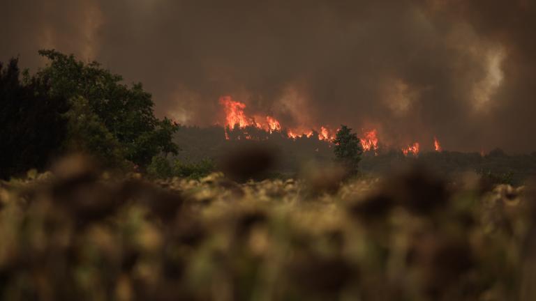 Φωτιά στην Μεσσηνία: Διπλό το πύρινο μέτωπο-Που κατευθύνεται η πυρκαγιά 