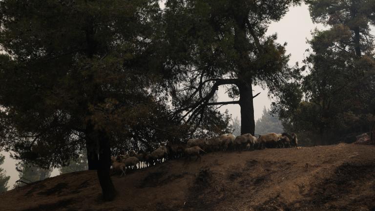 ΒΑΡΥΜΠΟΜΠΗ: ΒΡΕΘΗΚΕ