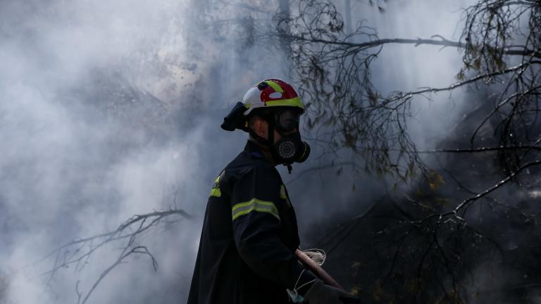 Σε διαθεσιμότητα τέθηκε, με απόφαση του αρχηγού της ΕΛΑΣ, ανώτερος αξιωματικός στην Πελοπόννησο, ο οποίος φέρεται να ρώτησε πολίτη, οποίος του ζήτησε να στείλει πυροσβεστικό όχημα για να σώσει το σπίτι του από τις φλόγες, εάν έχει πολιτικό μέσο. Παράλληλα, για την υπόθεση διατάχθηκε Ένορκη Διοικητική Εξέταση. Αυτή η αντίδραση του αρχηγείου της ΕΛΑΣ υπήρξε μετά από βίντεο που κάνει το γύρω του διαδικτύου και παρουσιάζει τον πολίτη να μιλάει σε τηλεοπτικό κανάλι για την πυρκαγιά που έφτασε στο χωριό του και τ