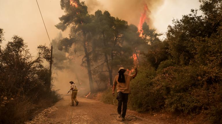 Εφιαλτική είναι η κατάσταση στην Εύβοια καθώς η πύρινη λαίλαπα έχει κατακάψει εκατοντάδες χιλιάδες στρέμματα πρασίνου ενώ νέα χωριά εκκενώνονται, αφού οι φλόγες πλησιάζουν απειλητικά τις αυλές των σπιτιών. Με το πρώτο φως της ημέρας ξεκίνησαν να επιχειρούν και τα ενάερια μέσα για την κατάσβεση της φωτιάς. Σύμφωνα με νεότερες πληροφορίες έχουν γλιτώσει από την πύρινα λαίλαπα τα βασιλικά. Τα μέτωπα της πυρκαγιάς συνεχίζουν να μαίνονται με τις φλόγες να κατευθύνεται ανεξέλεγκτα προς Πευκί. Κυκλωμένο από τις φλ