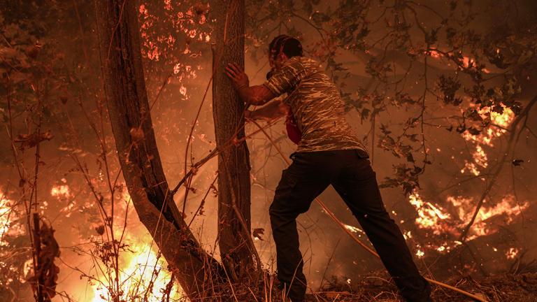 Δικαίωμα διορισμού στο Δημόσιο οι εγκαυματίες των τελευταίων πυρκαγιών