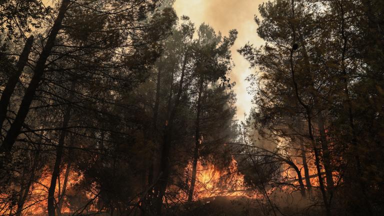 Η φωτιά συνεχίζει να καίει με κατεύθυνση την Ιστιαία