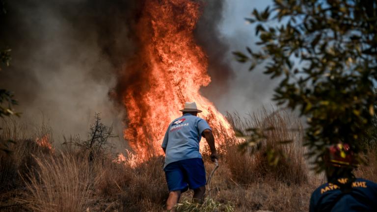 Πυρκαγιές: Δύσκολη νύχτα για Βίλια και Κερατέα - Εκκενώνεται κι άλλος οικισμός