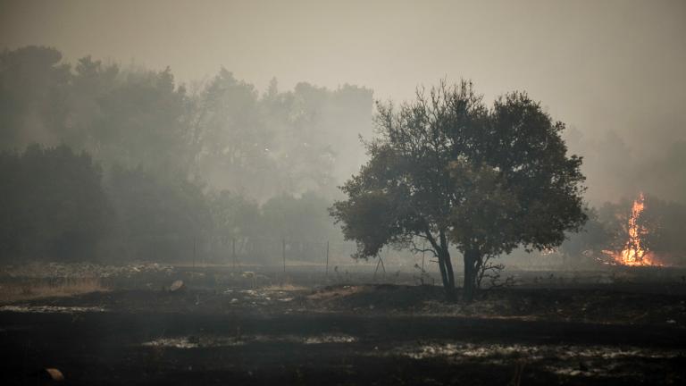 Ολονύχτιες περιπολίες στρατού και αστυνομίας για πρόληψη πυρκαγιών