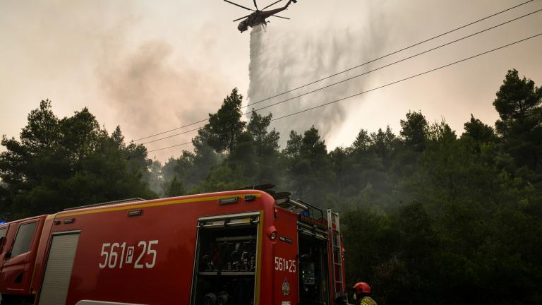 Σε πλήρη εξέλιξη βρίσκεται η μεγάλη φωτιά που κατακαίει για πέμπτη ημέρα την περιοχή των Βιλίων. Σύμφωνα με την πυροσβεστική, δεν απειλούνται αυτήν την ώρα οικισμοί.  Όλες οι δυνάμεις (από το πρωί άρχισαν να επιχειρούν εκ νέου τα εναέρια μέσα) έχουν επικεντρωθεί στο μέτωπο της πυρκαγιάς που πέρασε από το όρος Πατέρας και κατευθύνεται προς το Καντήλι Μεγάρων και το Πεδίο Βολής. Πρόκειται για ένα δύσβατο σημείο όπου δεν μπορούν να επιχειρήσουν τα επίγεια μέσα. Σκοπός είναι να αποτραπεί η επέκταση της φωτιάς σ