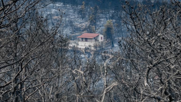 ΑΚΟΛΟΥΘΗΣΤΕ ΜΑΣ ΣΤΟ GOOGLE NEWS ΚΑΝΟΝΤΑΣ ΚΛΙΚ ΕΔΩ