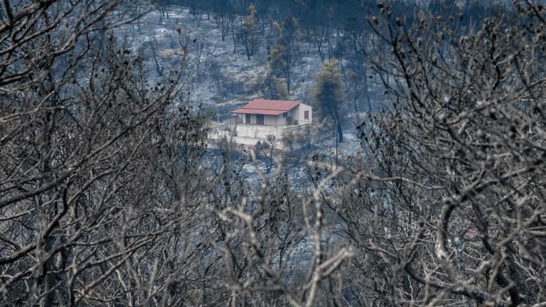 Καταβλήθηκαν οι πρώτες αποζημιώσεις σε πυρόπληκτους - 3,74 εκατ. ευρώ σε 528 δικαιούχους