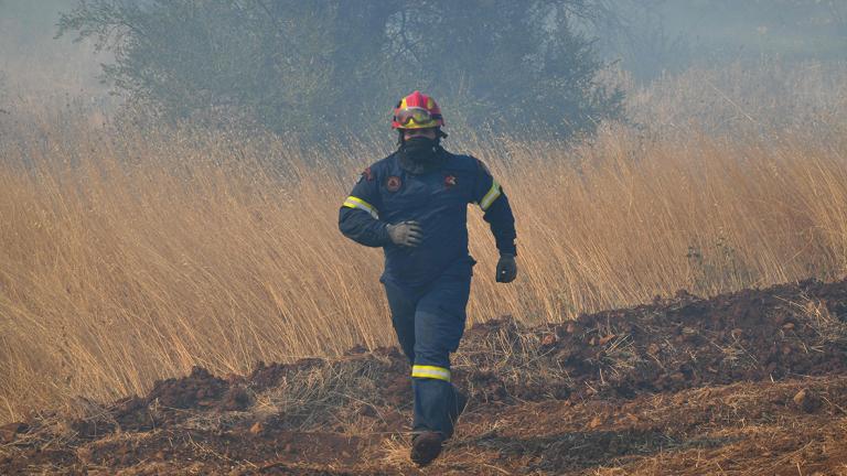 Μεγάλη φωτιά στο Λογγίτσι Φθιώτιδας - Εντολή για εκκένωση του χωριού
