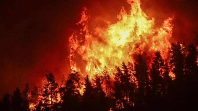 Ιταλία-καύσωνας: Οι πυροσβέστες αντιμετώπισαν στη διάρκεια της νύχτας περισσότερες από 500 πυρκαγιές 