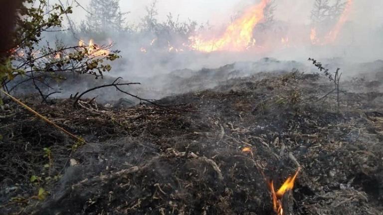 Ενεργοποιείται η πλατφόρμα στήριξης arogi.gov.gr για τους πυρόπληκτους - Ολοκληρώθηκαν οι καταγραφές	